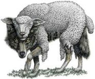 0b6adc27c8ddf7caef79b2563d675a0e--sheep-wolf